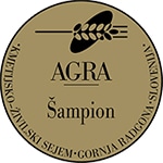 šampoion